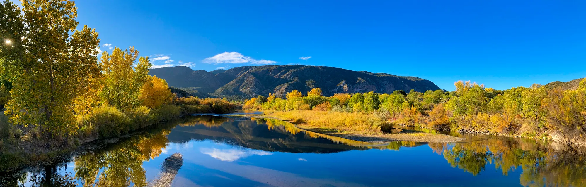 Fall colors by river near Taos